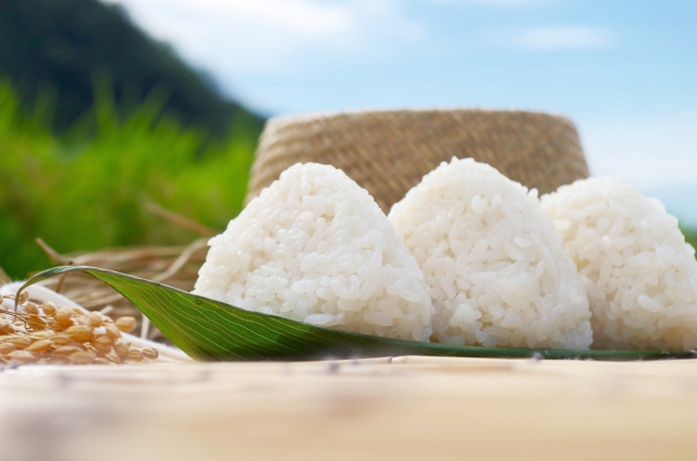 Characteristics of popular brand rice