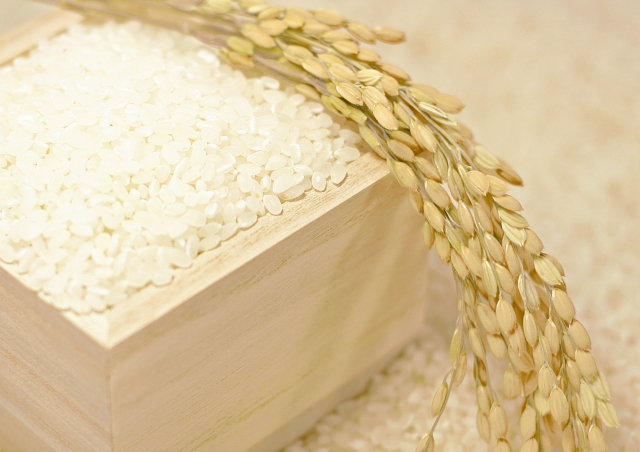 most popular rice varieties for gifts